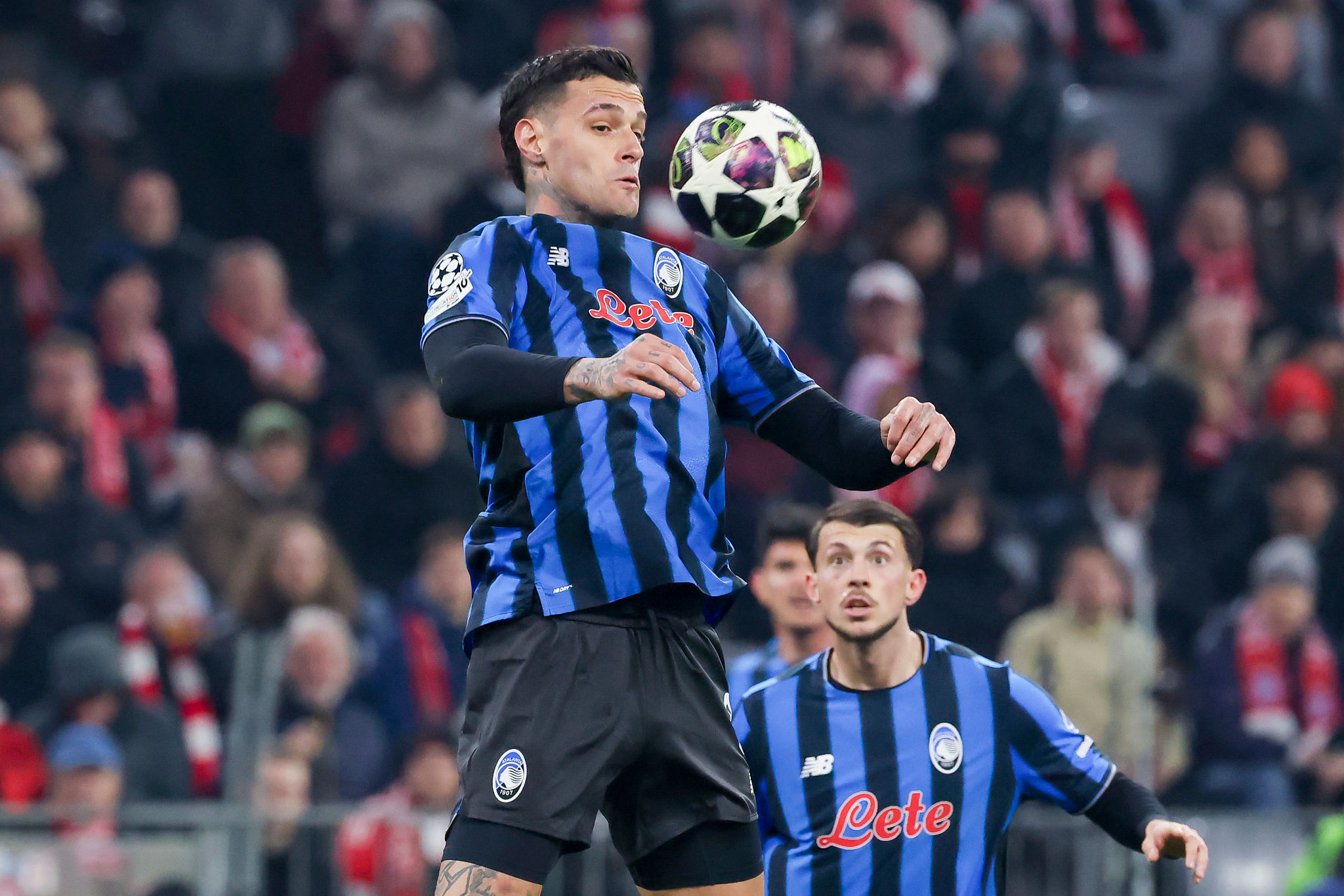 Scamacca si ferma: lesione all'adduttore, salta il Verona e la Nazionale